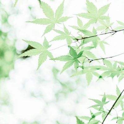 决战沙城公益服下载